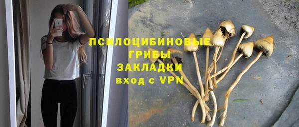 spice Абдулино